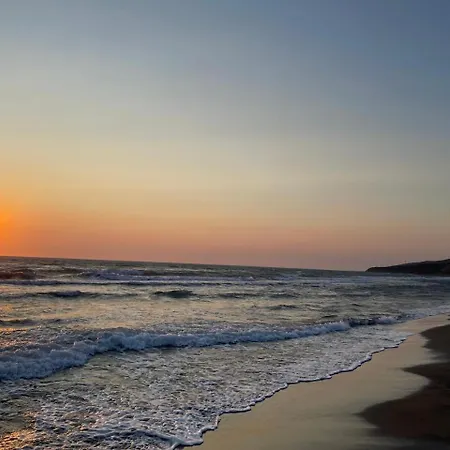 Bumblebee فيلة سبيل